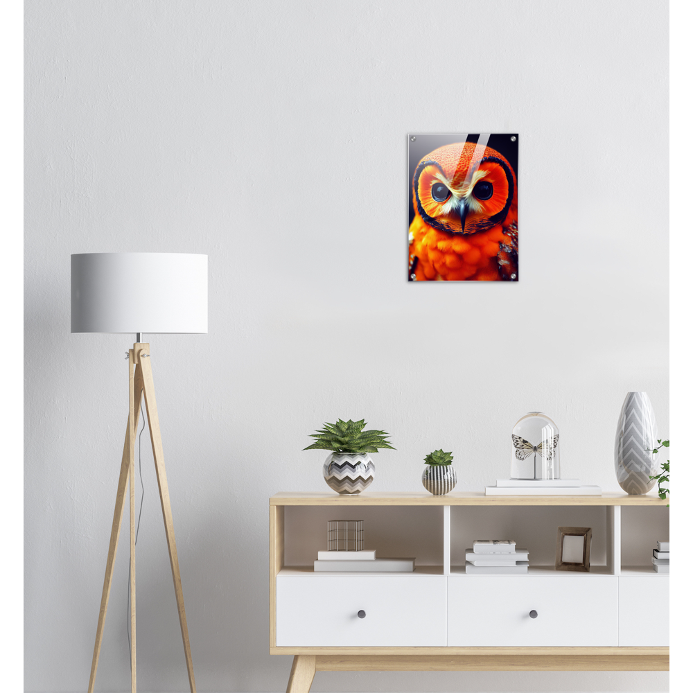 Acrylbild - Fruit Owl No. 1 - "Orangina", the orange owl - Serie Fruit Owls - Schleiereulen - lat. Tytonidae - Fruchteulen - Vogel - Bird - Strigiformes - Noctua - Ornithologie - Kunstwerk - Acryldruck - Poster mit Rahmen - Poster mit Leisten - Bedruckte Tassen - Kunst Marke - Art Brand - Pixelboys - Kunstdruck - Acryldruck - Wandbild - Kunstdrucke - Papier: 250g/qm - Künstler: John Grayst & Pixelboys - Eulen - Owl-  - Atelier - England - London - Birmingham - Manchester - Leeds - Liverpool  